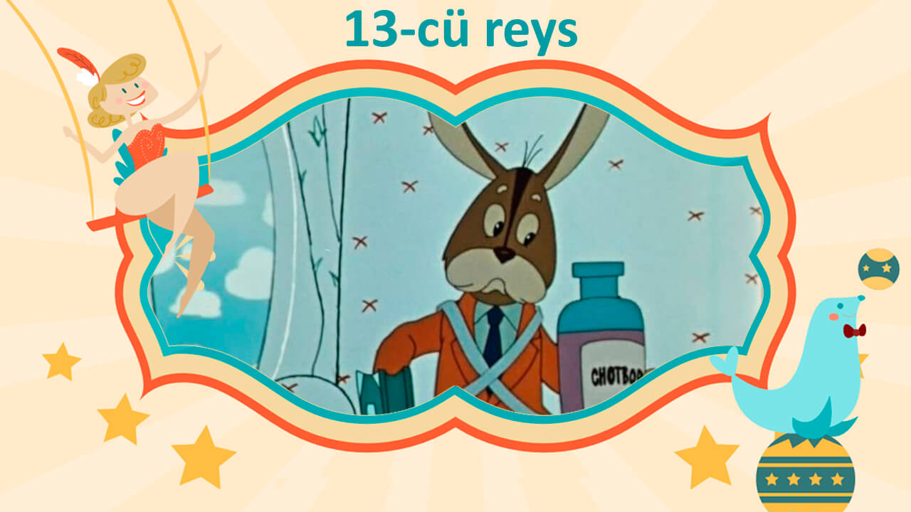 13-cü reys  