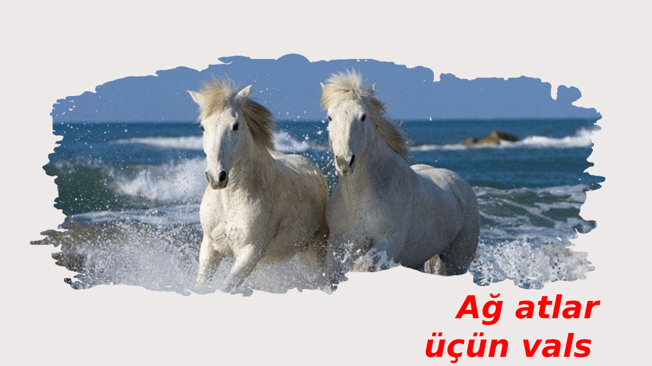 Ağ atlar üçün vals