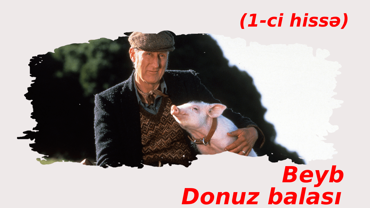 Beyb. Donuz balası (1995)