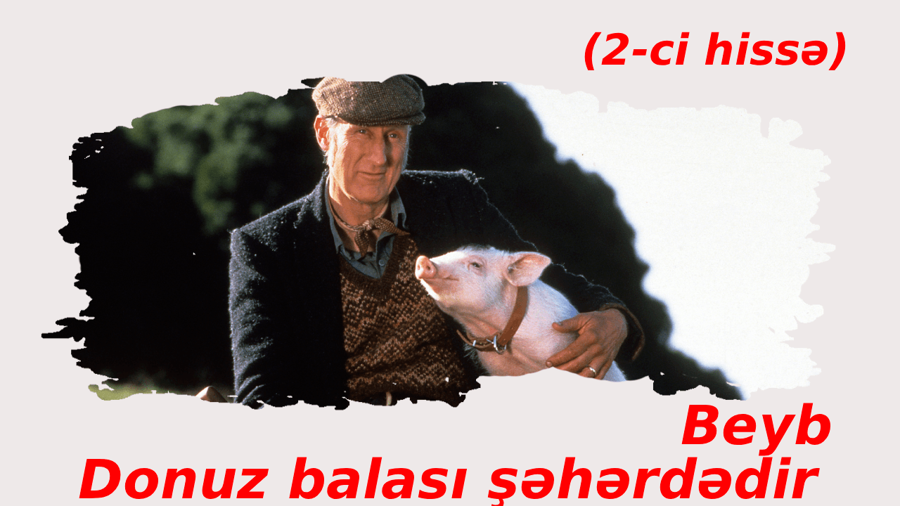 Beyb. Donuz balası şəhərdədir (1998)