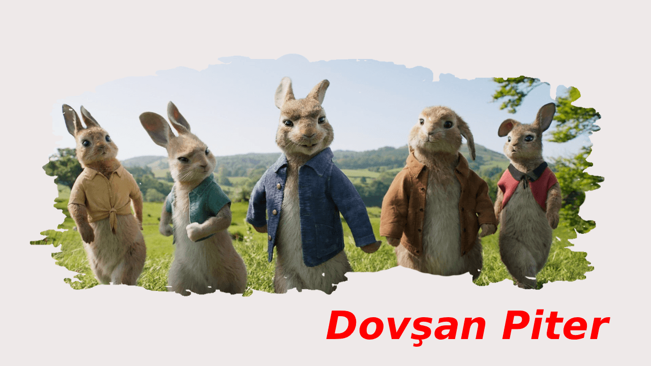 Dovşan Piter (2018)