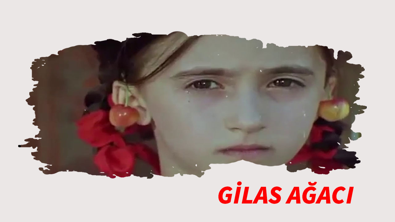 Gilas ağacı 
