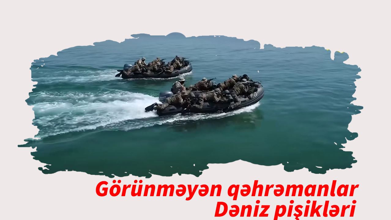 Görünməyən qəhrəmanlar - Dəniz pişikləri