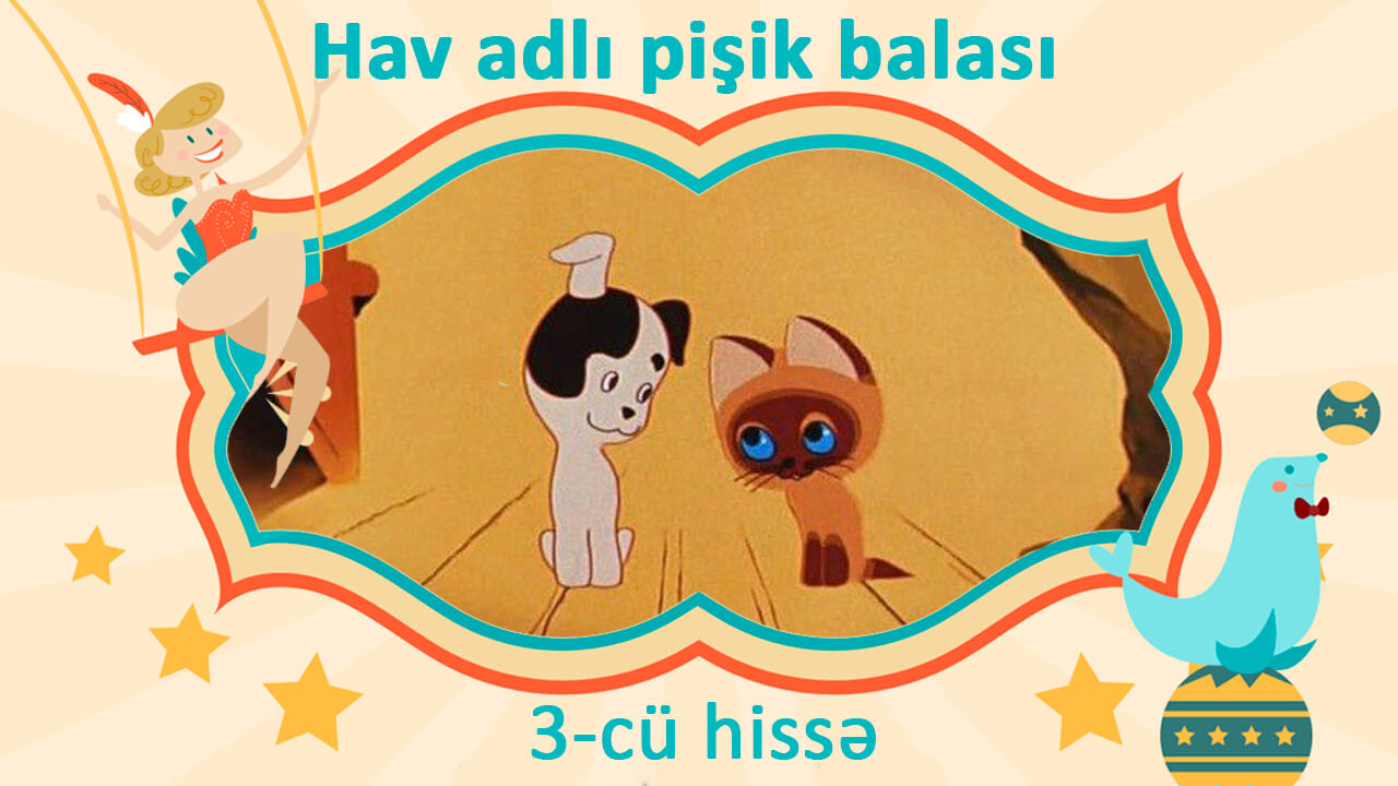 Hav adlı pişik balası 3-cü hissə