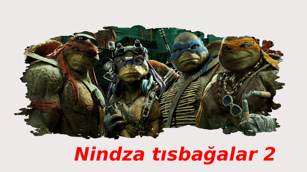 Ninza tısbağalar 2 (2016)