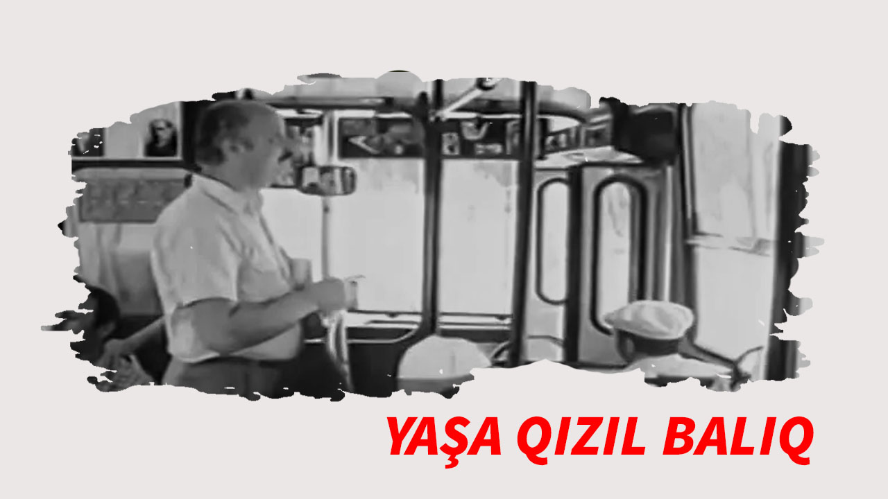 Yaşa, qızıl balıq